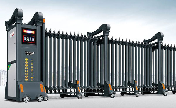 欧罗宝盾-2289-C1